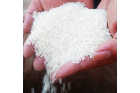 [令和6年度産]栃木県上三川町産コシヒカリ・白米 (10kg×2袋) ◆ | 国産 栃木県産 コシヒカリ 米 お米 単一原料米 精米 白米 栃木米 とちぎ米 産地直送 送料無料