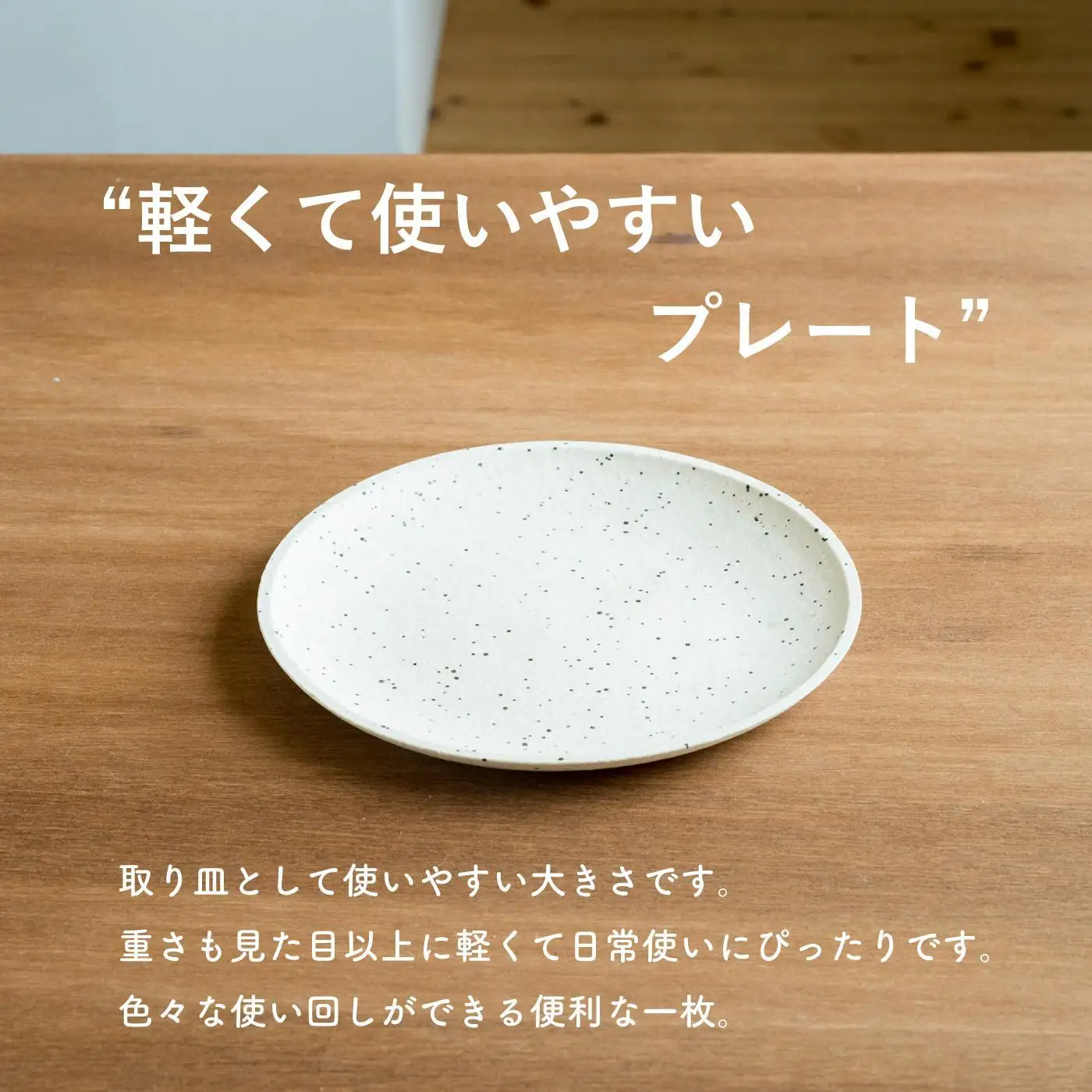 【信楽焼・明山】GRAIN WARE　MIKAGE PLATE　2枚セット　ac-12 (176777-40037156)