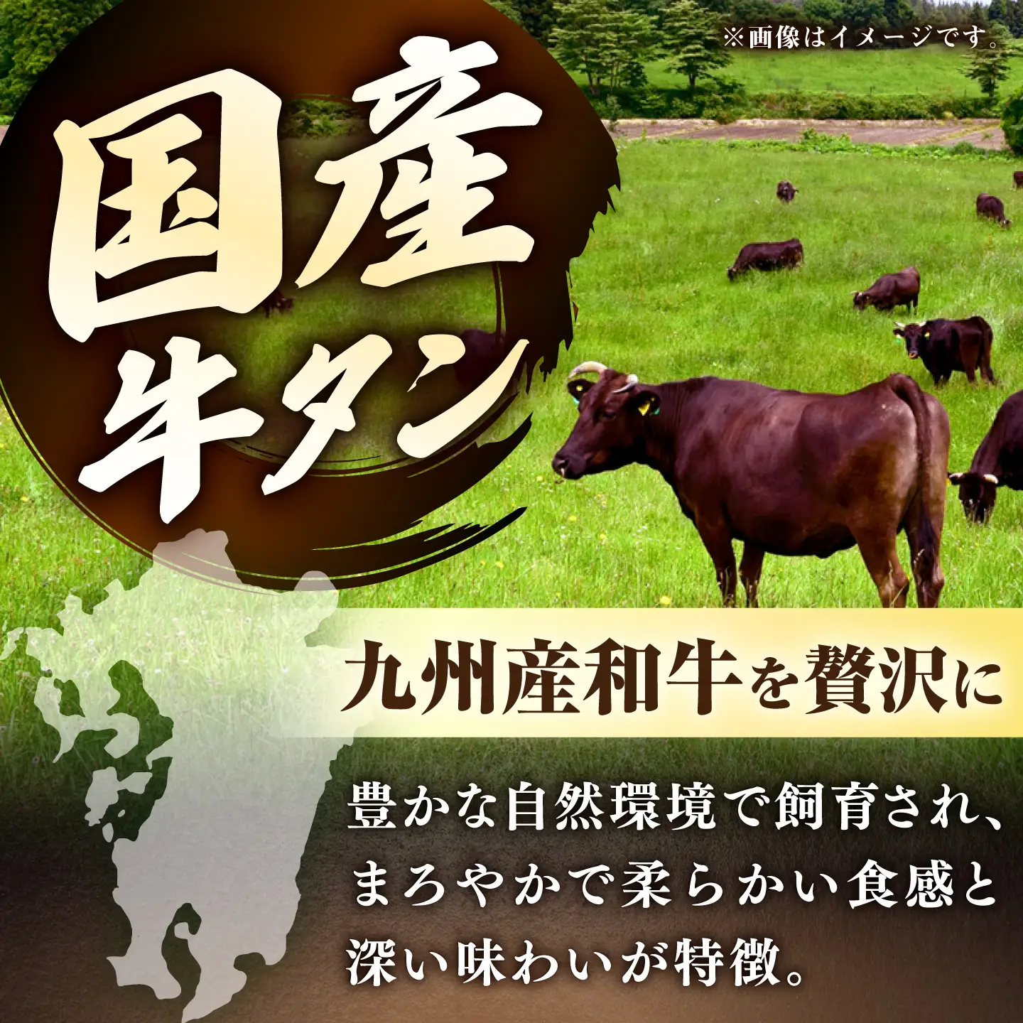 【塩だれ牛タン】九州産和牛の牛タン 500g（約250g×2パック）[EAX084] 冷凍 小分け