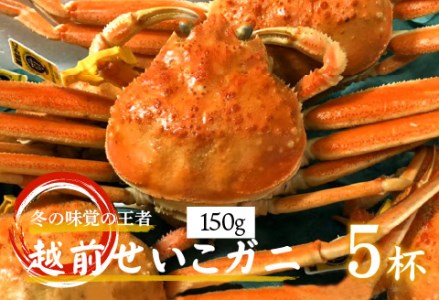 タグ付き越前せいこガニ（150g前後）× 5杯　カニ 越前ガニ