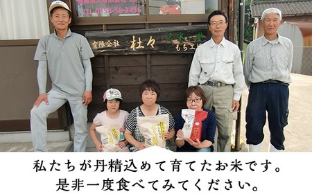 43-12【6ヶ月連続お届け】杜々の妖精コシヒカリ5kg（全国名水百選栃尾産）