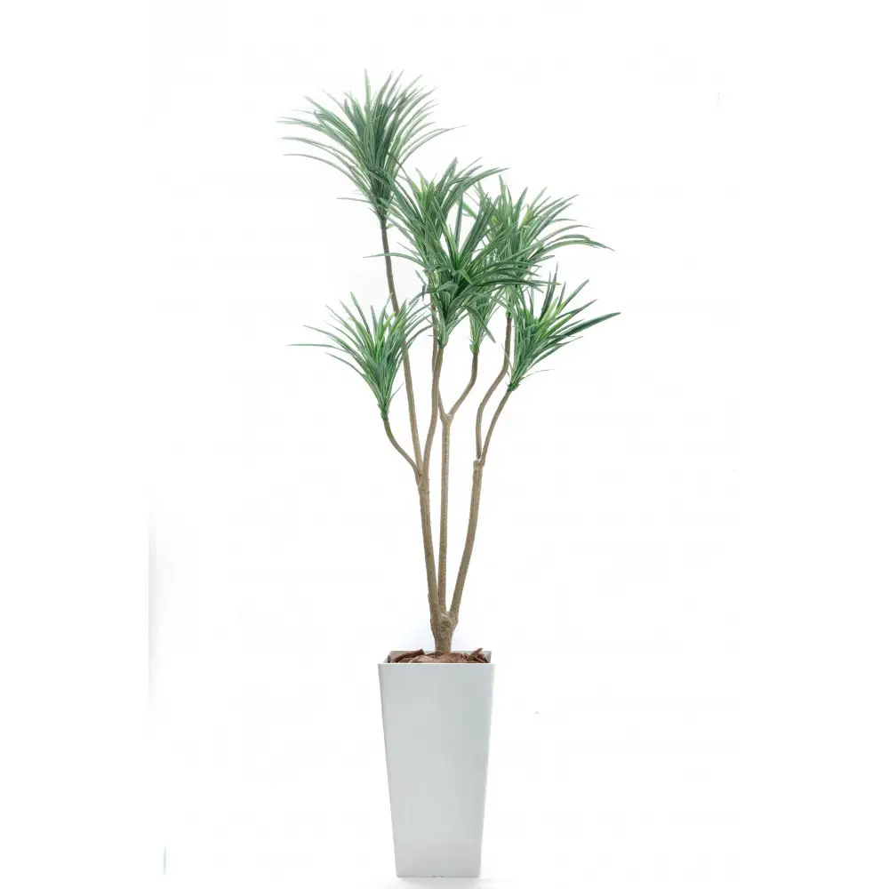 人工観葉植物　青年の樹ユッカ７本枝　白樹脂鉢Lサイズ付