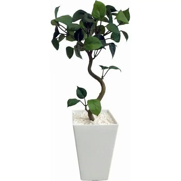 人工観葉植物　聖木ベンジャミンポット