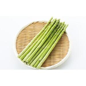 グリーンアスパラ 約2kg ( 約1kg × 2箱 ) 3L ～ S サイズ混合｜アスパラガス