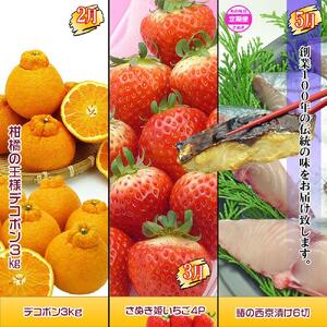 坂出産のフルーツとさぬきの特産品の定期便6回【Aコース】