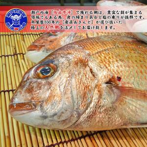【ギフト用】[下処理あり]≪瀬戸内海産≫朝1番水揚げされた天然真鯛を直送致します。［大サイズ］