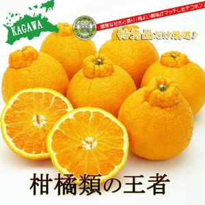 香川のあま～いデコポン［不知火］3kgの詰め合わせ