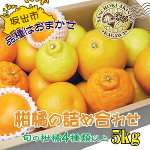 今が旬の柑橘勢揃い！坂出産の柑橘詰め合わせセット