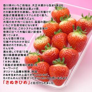 香川県オリジナル品種！さぬき姫いちご4パック