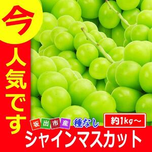 《2026年発送》特秀品シャインマスカット1kgの詰め合わせ【数量限定】