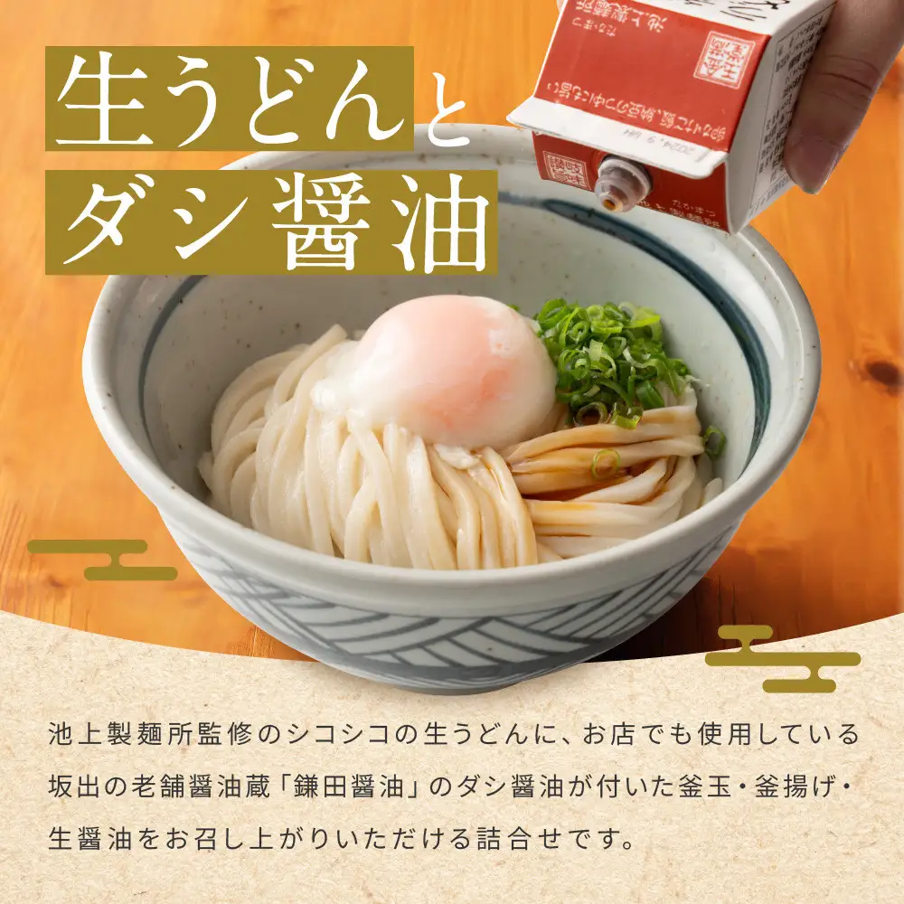 讃岐生うどん12食入（1袋3食入×4袋）＊鎌田醤油だし醤油付＊  池上製麺所監修！｜うどん