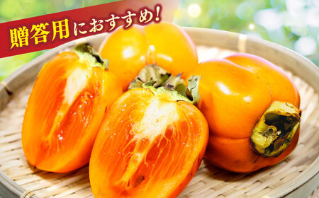 柿 【先行予約】【2026年10月下旬以降順次発送】【数量限定50個】食べごろにお届け♪西条柿(合せ柿) 進物箱2kg(約10個入)ドライアイス詰め 島根県松江市/道の駅本庄企業組合[ALCW003] 柿