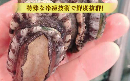 炊き込みごはん 姫アワビとサザエの炊き込みごはんセット 島根県松江市/株式会社SOL JAPAN[ALBG001] 炊き込みごはん 炊き込みごはん