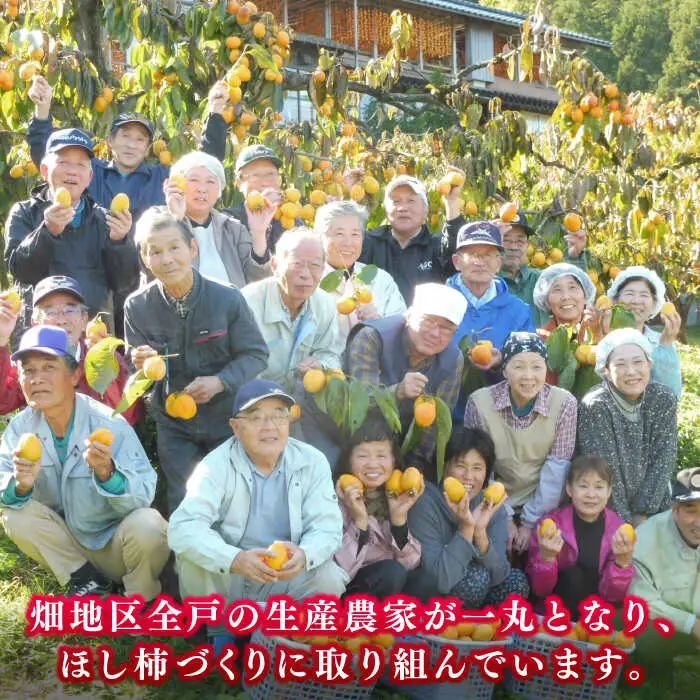 柿 【ふるさと納税限定】【先行予約】【2026年12月中旬以降順次発送】東出雲のまる畑ほし柿×50個入 島根県松江市/畑ほし柿生産組合[ALBV001] 柿 柿