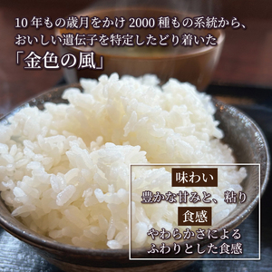 3ヶ月 定期便 米 10kg 金色の風 白米 お米 1等米 精米 ご飯 朝食 昼食 夕食 国産 岩手県 大船渡市
