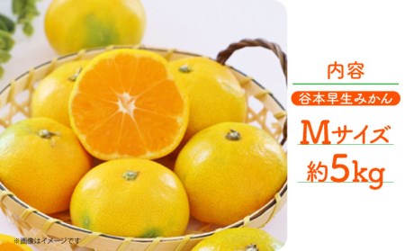 【先行予約】極早生（谷本早生） みかん Mサイズ 約5kg  ー2026年10月より発送ー 長与町/山口農園 [EBI007]  みかん 柑橘 果物 くだもの フルーツ 季節限定 数量限定 温州みかん ミカン 5kg 先行予約 産地直送 長崎県産 長与町