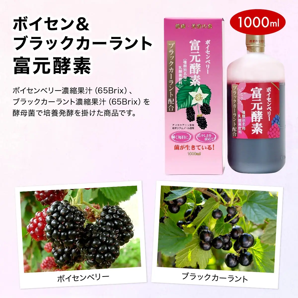 ボイセン＆ブラックカーラント富元酵素 1000ml【064-a001】