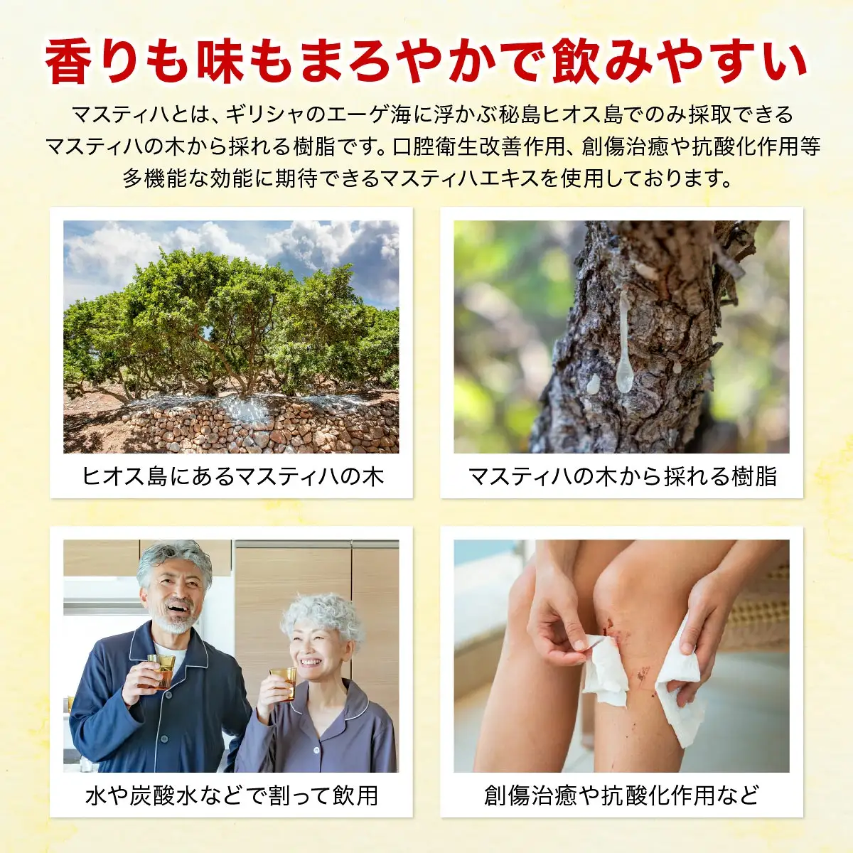 Masthiha（マスティハ）芦屋酵素 450ml
