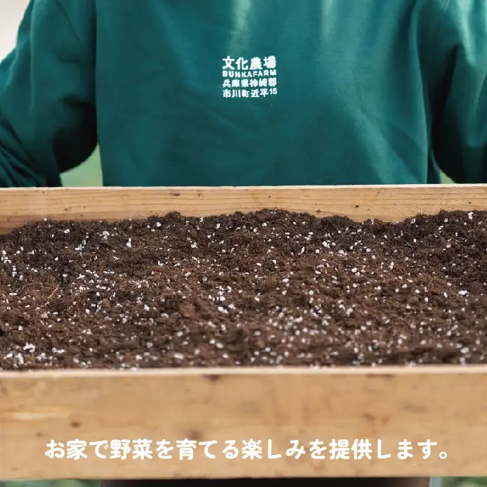 家庭菜園用培土「文化の土」30L　008BK01N.／ガーデニング 花 野菜 栽培 ベランダ菜園 培土 用土 初期育成 肥料入り 家庭菜園 土 培養土 鉢植え 園芸用土 初心者 元肥入り はじめての家庭菜園 キッチンガーデン