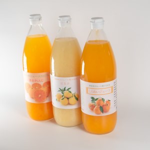 柑橘 みかん ジュース 夢おれんじ はるか 不知火 しらぬい 1000ml 3種 無添加 ストレート 果汁 100% 柑橘 果物 国産 フルーツ 有名 蜜柑 ブランド オレンジ ビタミン 美味しい 贈答 ギフト プレゼント みかん職人武田屋 愛媛県 愛南町