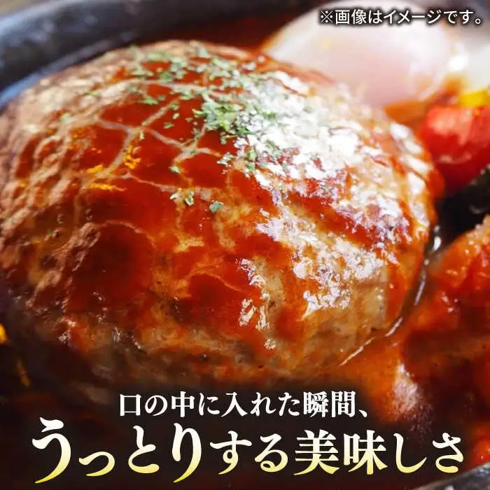 【敬老の日】壱岐牛 A5ランク 牛ミンチ 約500g×6 《壱岐市》【KRAZY MEAT】 [JER042] 小分け ミンチ 3kg 挽き肉 ひき肉 牛肉 赤身 36000 36000円 その他・加工品