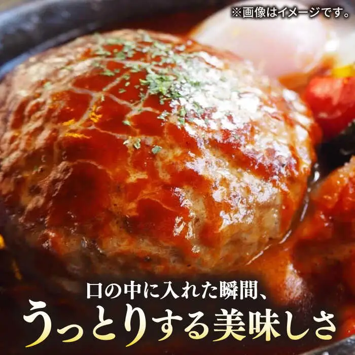 【全3回定期便】 壱岐牛 A5ランク 牛ミンチ 約500g×6 《壱岐市》【KRAZY MEAT】 [JER046] 小分け ミンチ 3kg 挽き肉 ひき肉 牛肉 赤身