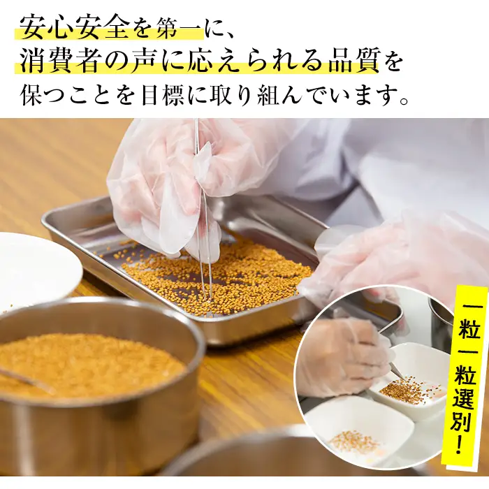 【先行予約】金ごま 国産 「くしきの金ごま」金ごま【数量限定】【00-073-01-SK】