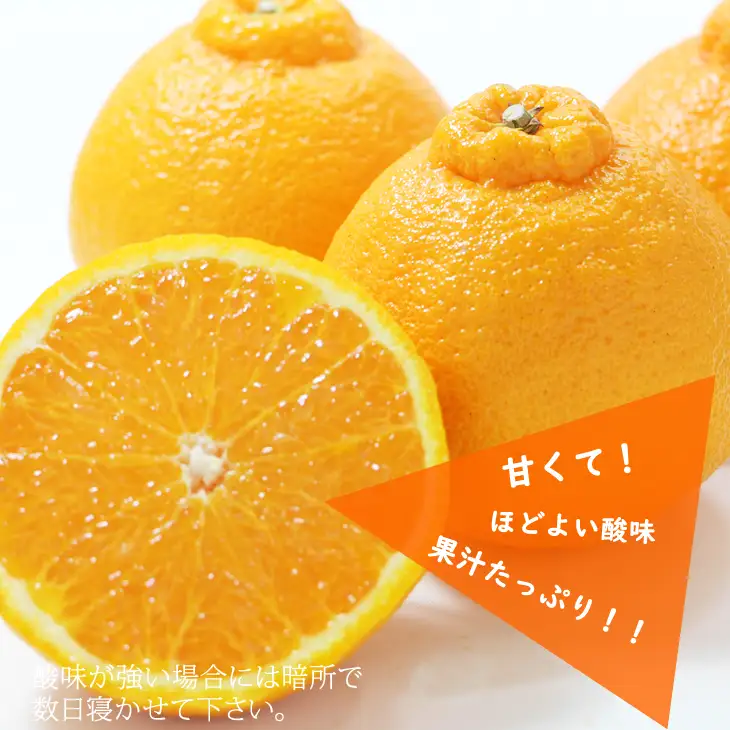【先行予約】ご家庭用 不知火（しらぬい）５kg  R9年4月より発送 デコっとしてポン B140-029