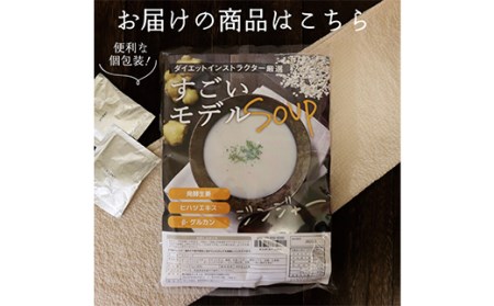 すごいモデルスープ30包 F20E-805