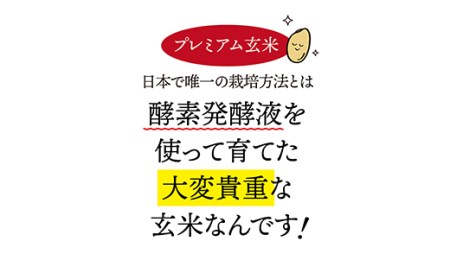 酵素発酵玄米 900g×2 F20E-812