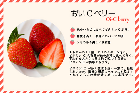 【先行受付開始！】北海道浦河産いちご「おいCベリー」230g×3P[13-1127]
