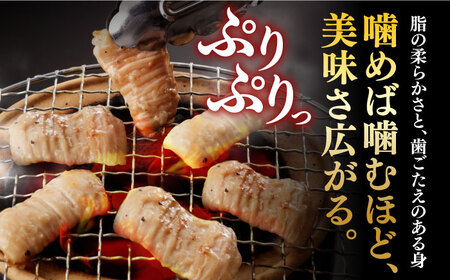 【全12回定期便】【塩だれ】 九州産和牛 ホルモン シマチョウ 500g（250g×2袋）長与町/岩永ホルモン [EAX103]国産 牛肉 小分け 味付き 冷凍 焼肉