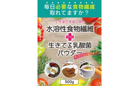 水溶性食物繊維＋生きてる乳酸菌パウダー 500g×2 F20E-816