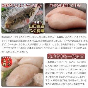 数量限定 限定 ふぐ 白子 とらふぐ白子 とらふぐ 小分け 1kg 訳あり わけあり 訳アリ (1522)