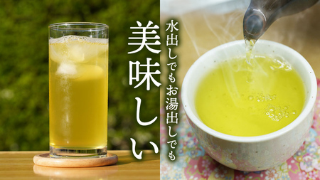 お徳用 猿島茶 ティーバッグ （ 5g × 30個 × 5袋 ）【合計150個】  お茶 緑茶 水出し セット 茨城県 [AF099ya]