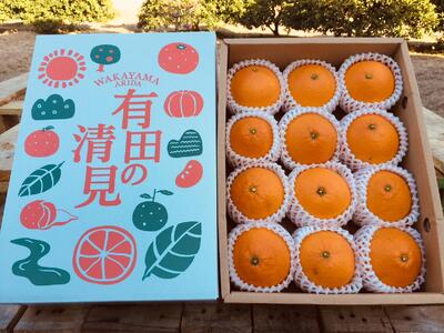 【2027年先行予約】有田の不知火(しらぬひ) 4kg　12玉～28玉（S～3Lサイズ混合）まごころ手選別_ZE6117n