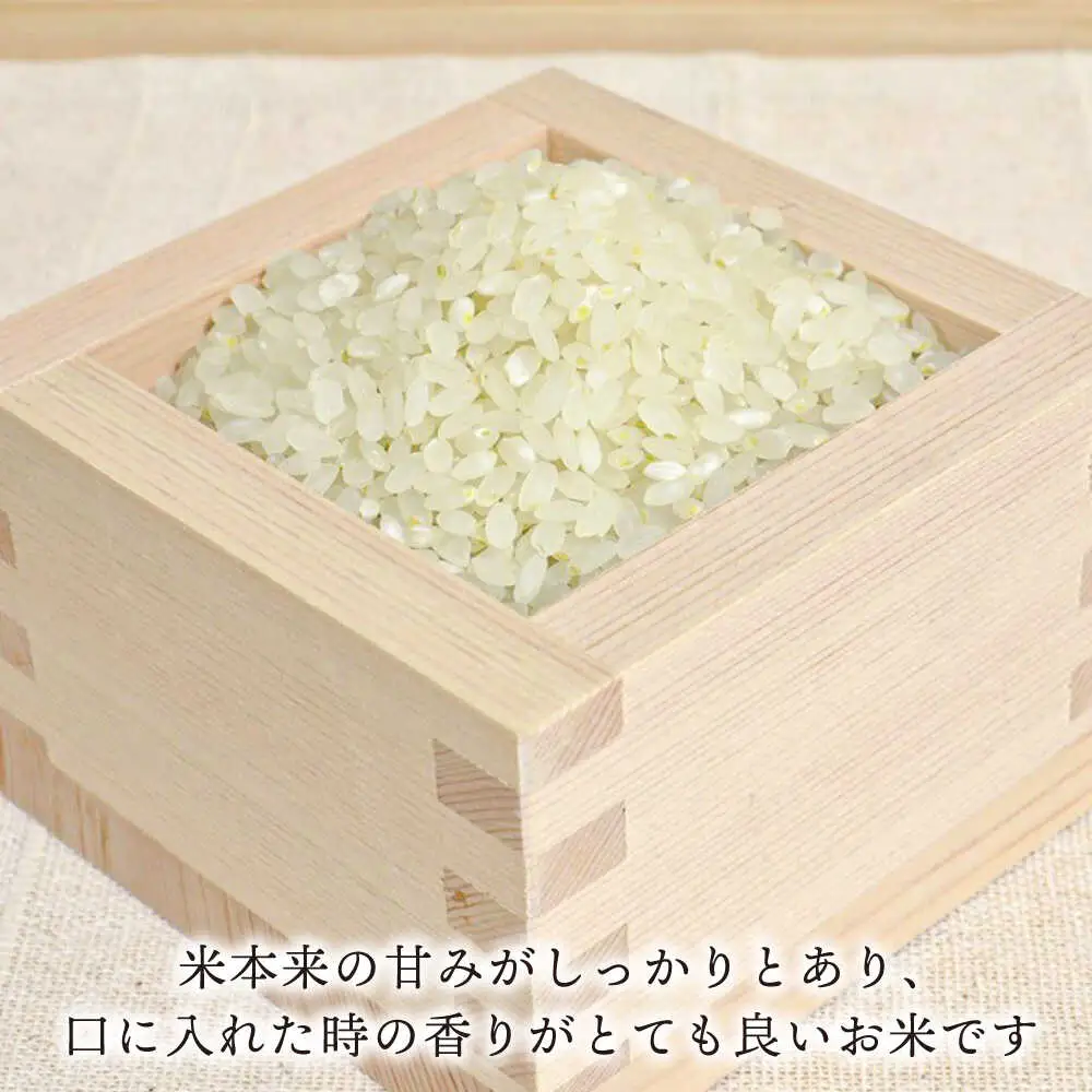 糸島産 夢つくし 10kg　糸島市 / 糸島王丸農園 ( 谷口汰一 ) /いとしまごころ [AAZ005]