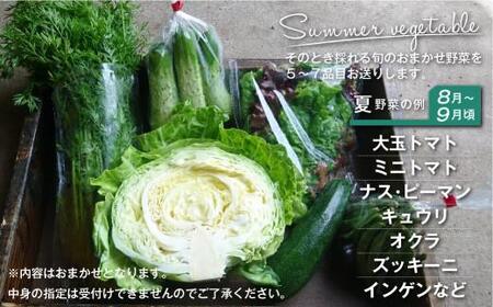 【7月～順次配送】無肥料 自然栽培 野菜セット 5～7種 | やさい 野菜詰合せ 秋野菜 産地直送 詰合せ セット 新鮮野菜 飛騨高山 amrita農園 KM001