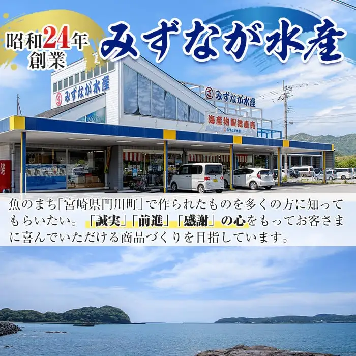ソフトさきいか(計約600g・100g×6P)干物  海産物 常温 【E-26】【水永水産】