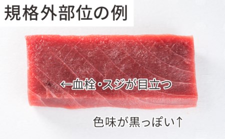【訳あり】天然本マグロ 赤身　大満足500g　 CH-89