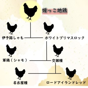 数量限定 最高級 ブランド 地鶏 媛っこ地鶏 セット3種 ソーセージ ハーブ 鶏肉 鶏むね 鶏もも こだわり 小分け