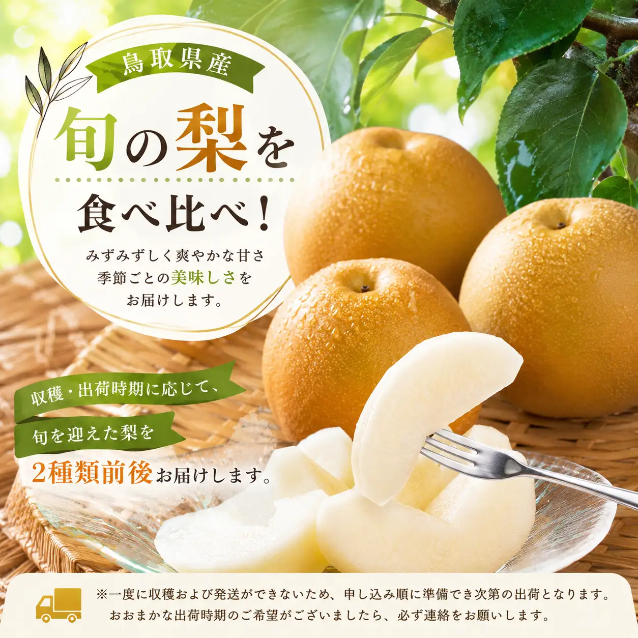 Y047【訳あり】鳥取県産旬の梨セット 4kg