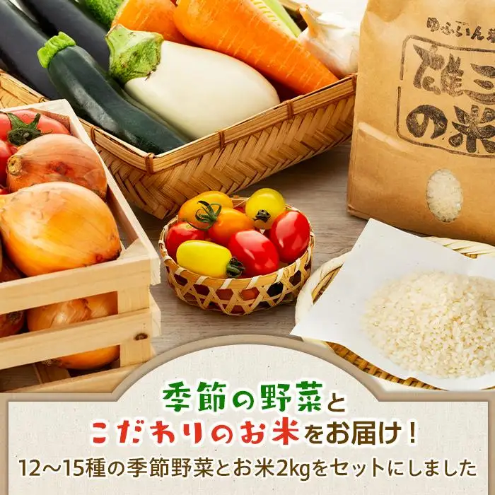 江藤農園おすすめ【旬の野菜（12～15種類）とお米（2kg）】のセット | 湯布院 詰め合わせ