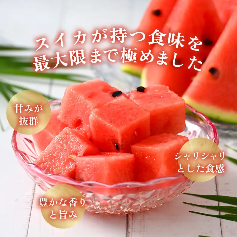 【先行予約】大玉すいか『祭ばやし』 1玉（約7kg以上）スイカが持つ食味を最大限まで極めた大きめ品種！ ／ 果物 フルーツ 西瓜 スイカ ギフト 農家直送 ※2027年6月上旬以降発送  [aw065-a015]