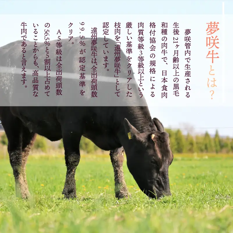 サーロイン ローストビーフ 黒毛和牛 440g 栗山商店 【ローストビーフ】