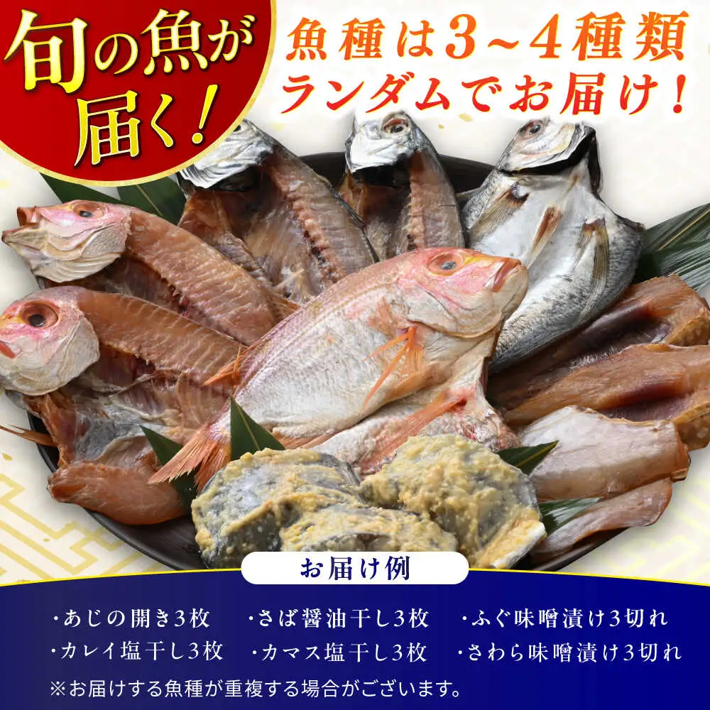 『定期便』【加福鮮魚】 季節の旬の魚をお届け！"生"干物厳選詰め合わせ　全12回(毎月発送)一夜干し 醤油干し 味噌漬け 塩干し 小浜市 / 加福鮮魚【配送不可地域：北海道・沖縄・離島】  [BFBC014] 