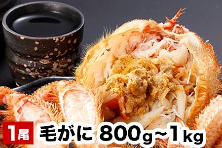 毛がに毛がに800g～1kg×1尾 B-48016