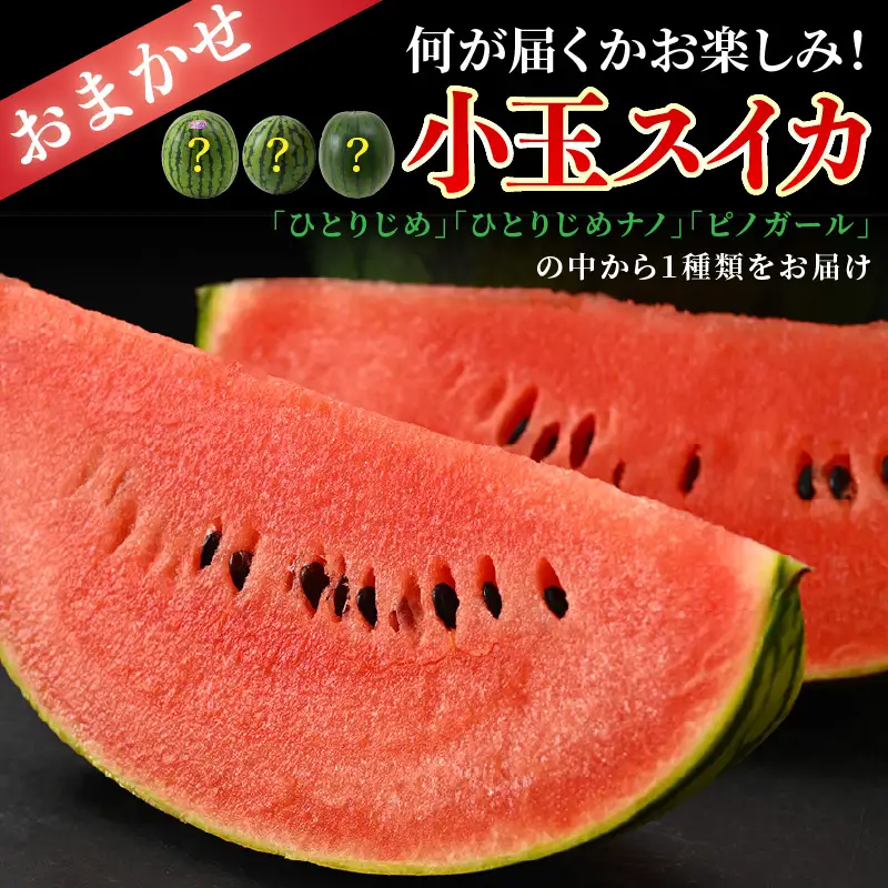 【先行予約】佐藤農園の小玉スイカ・マルセイユメロン セット 計2玉（約2.5kg～3kg） 秀品 農家直送 有機肥料 低農薬 ※2027年5月下旬～6月末の間に順次発送 [aw069-a004]