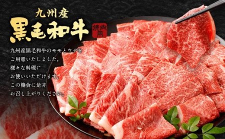 九州産黒毛和牛 焼肉用 モモ×ウデ 1㎏ 500g×2パック 牛肉