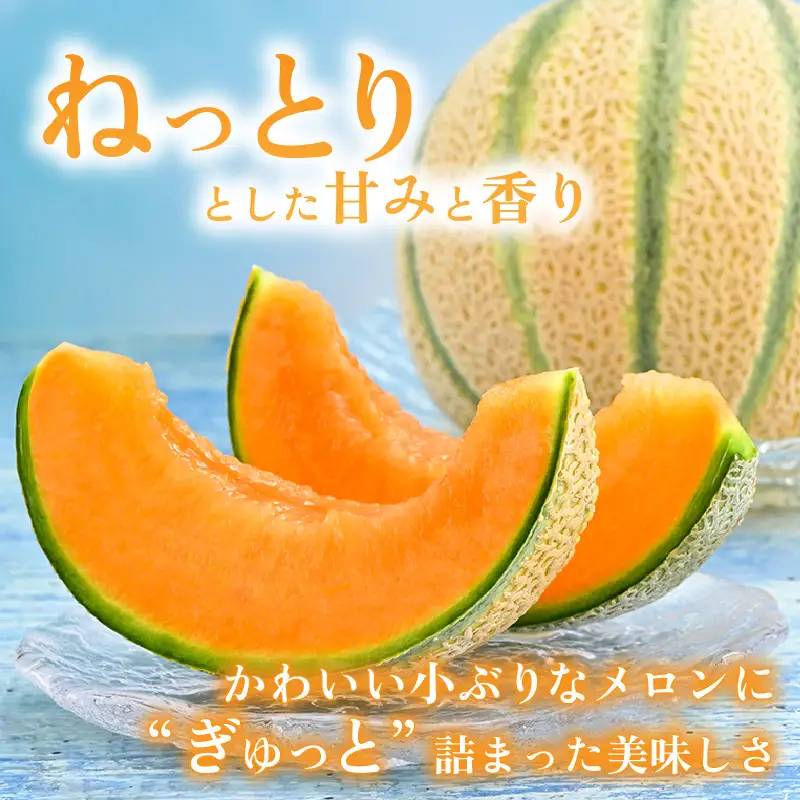【先行予約】マルセイユメロン 2玉 約2.6kg以上（約1.3kg以上×2玉）大人気の赤肉品種！高級メロンの味わい ／ 果物 フルーツ ギフト 農家直送 ※2027年6月上旬以降順次発送  [aw065-a005]